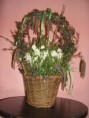 /album/fotogalerie-floristika-/cimg4956-jpg/